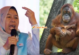 Page Orang Utan