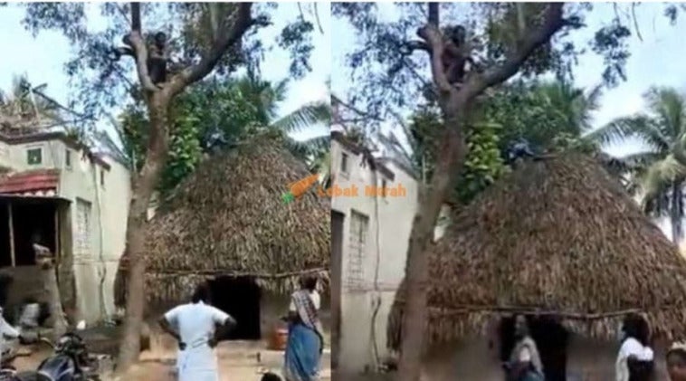 vaksin India