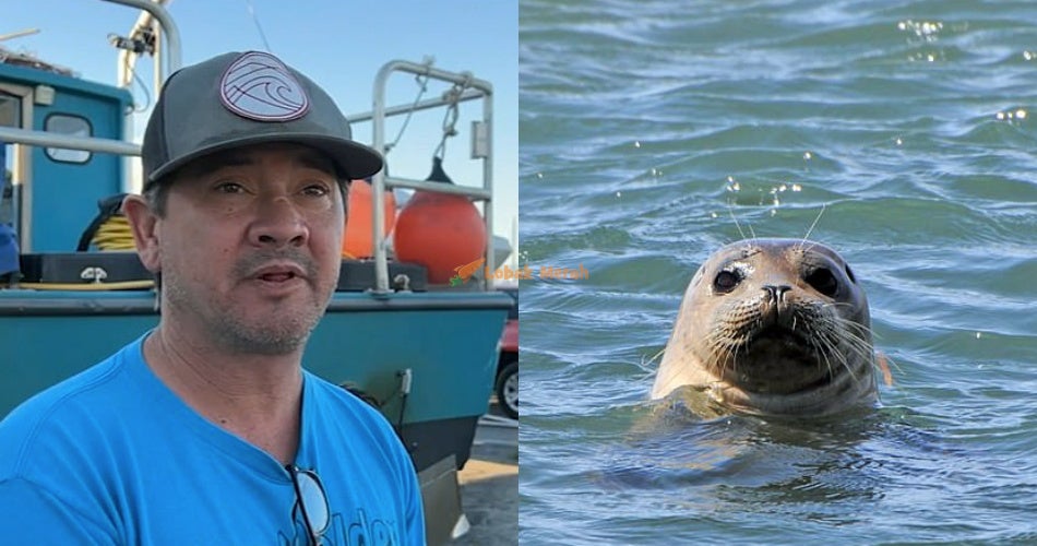 2seal