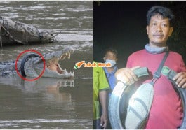 Buaya Berkalung Ban Panji Petualang Viral