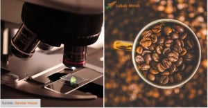 baca kopi gigi