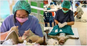 baca sempadan thailand