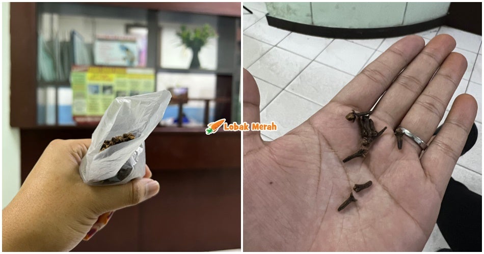 ft doktor bagi bunga cengkih