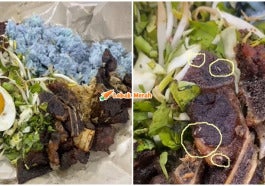 Gadis Terkilan Jumpa Ulat Merayap Dekat Nasi Kerabu