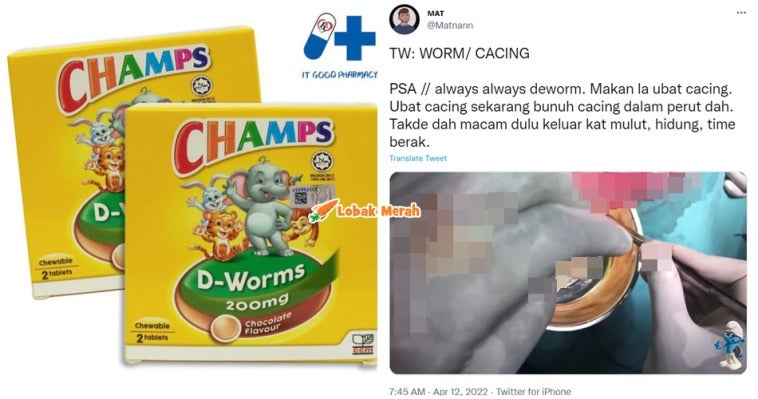Lelaki Ini Nasihatkan Netizen Pentingnya Makan Ubat Cacing 1