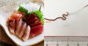 WORM