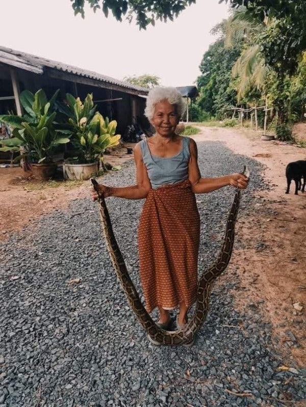 snake grandma 2 e1648874315683