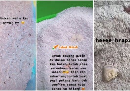 Bawang Putih Halau Kutu Beras