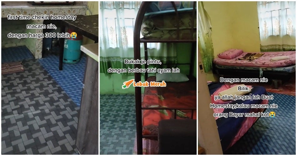 HOMESTAY SCAM