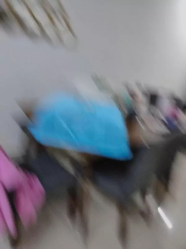 288026808 1374427003063091 148721026585309797 n