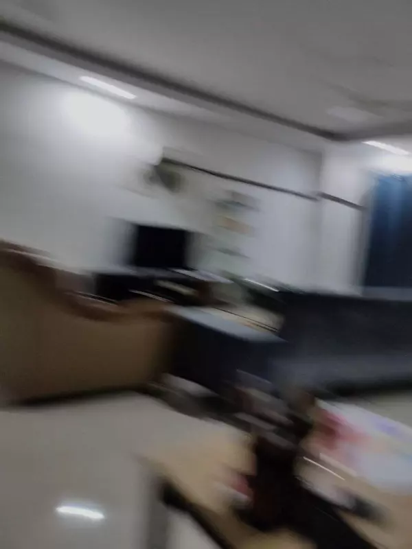 289344075 1374426909729767 9107229167000800852 n