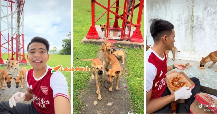 Bagi makan anjing terbiar