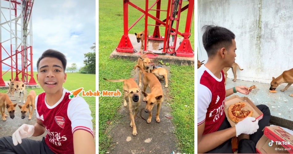 Bagi makan anjing terbiar