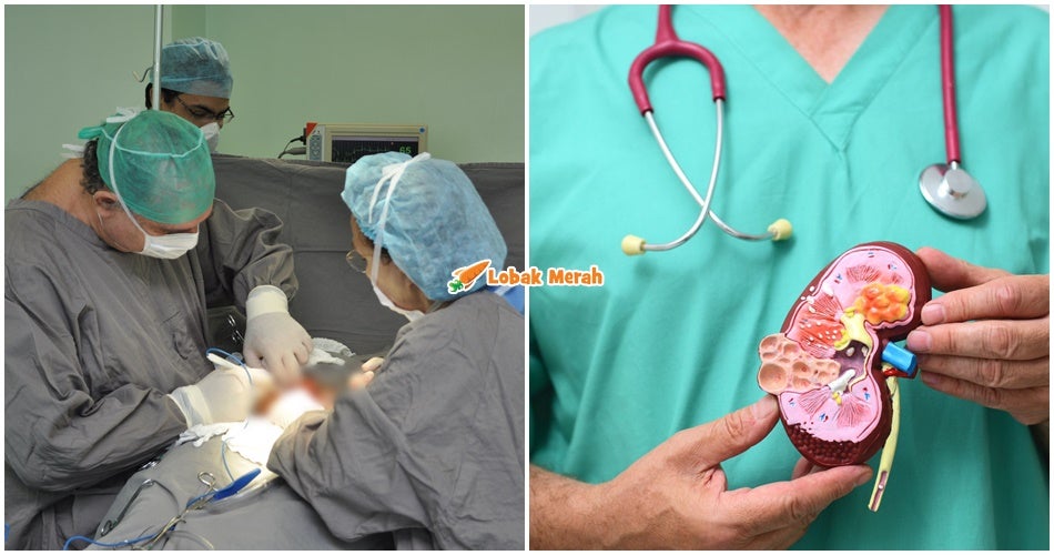 Penderma Buah Pinggang