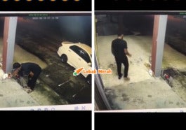 Seksa Kucing Dengan Baling Batu Bata Netizen Gesa Polis Cari Individu Sampai Dapat 2