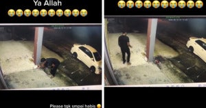 Seksa Kucing Dengan Baling Batu Bata Netizen Gesa Polis Cari Individu Sampai Dapat