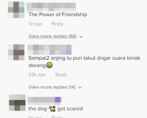 anjg 2