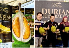 Festival Durian Dkings