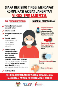 Influenza 1 1