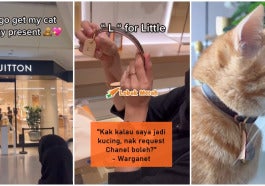 cats 7