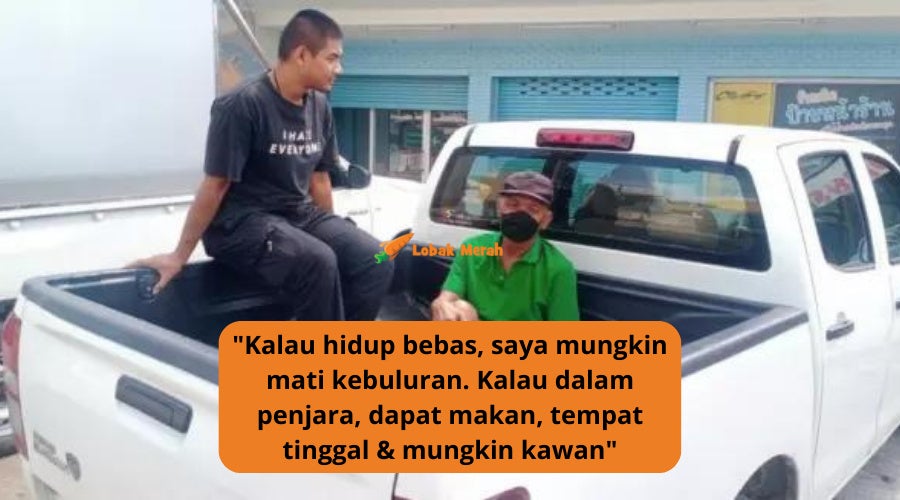 curi sabun