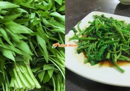 F3 Kangkung Us