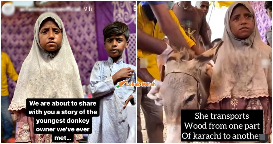 naghma pemilik keldai muda di pakistan