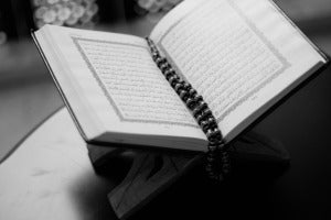 pexels abdulmeilk aldawsari 36704