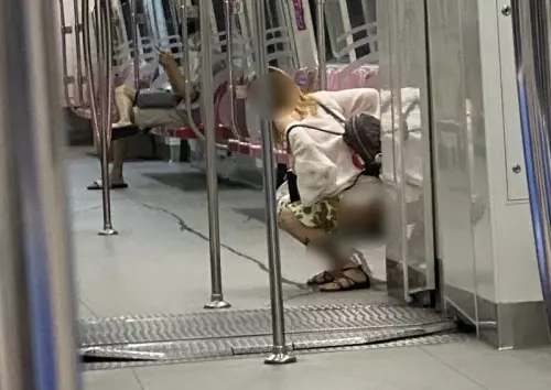 20223008 Pee on train 0.jpg