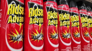 Johor Bahru Malaysia May Ridsect Mosquito Spray Aerosol Sold Super Market 148226971