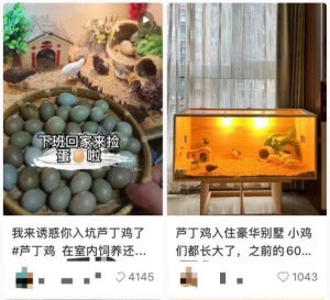 2022 1010 26861168j00rjj3m3002yc000go00trg e1665643396282