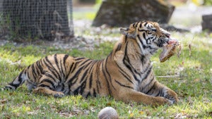 34746064702 05Ec07929A B