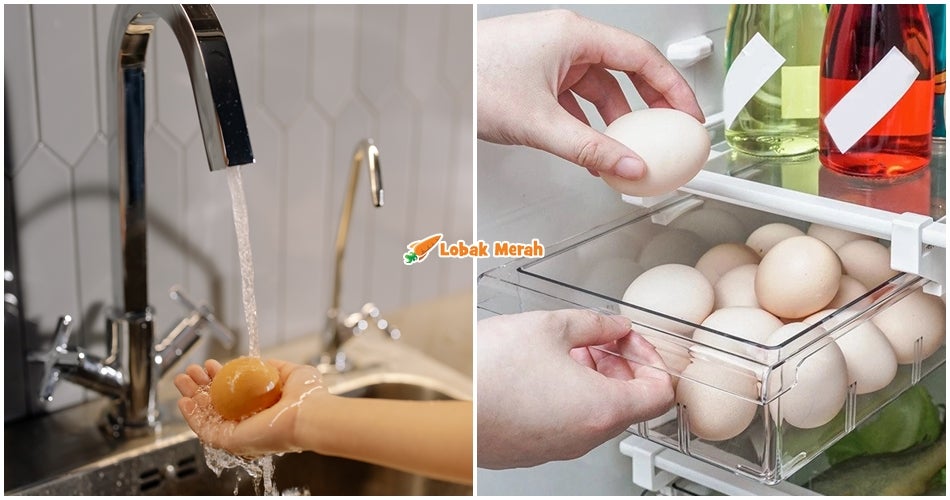 Cara Simpan Telur Yang Betul