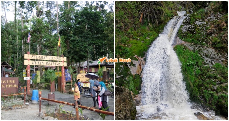 Hutan Simpan Selangor Tutup Musim Tengkujuh
