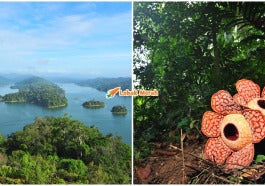Hutan Tertua Di Dunia Malaysia