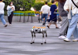 Robot Anjing China