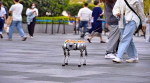 Robot Anjing China