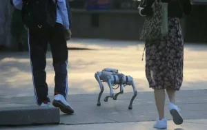 robot dogs 750x471 1 e1665292972378