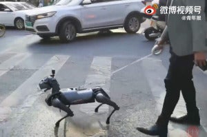 robot dogs3 e1665293056107