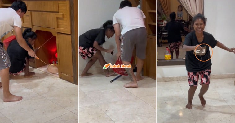 pembantu rumah tangkap tikus