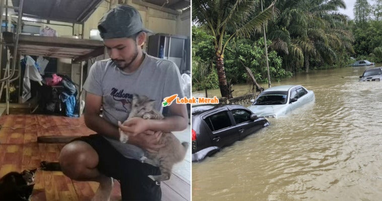 Banjir Selamatkan Kucing