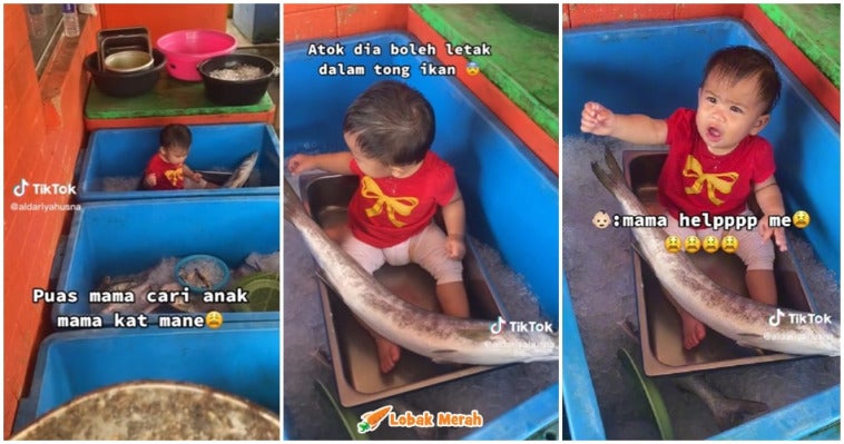 cucu dalam tong ikan