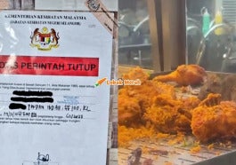 F2 Rat Hpdkm