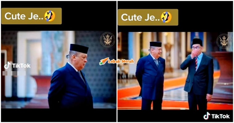 Tocang Rambut Sultan Johor