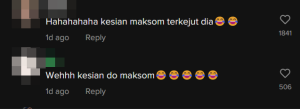 maksom 3