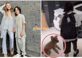 ft BCL anjing