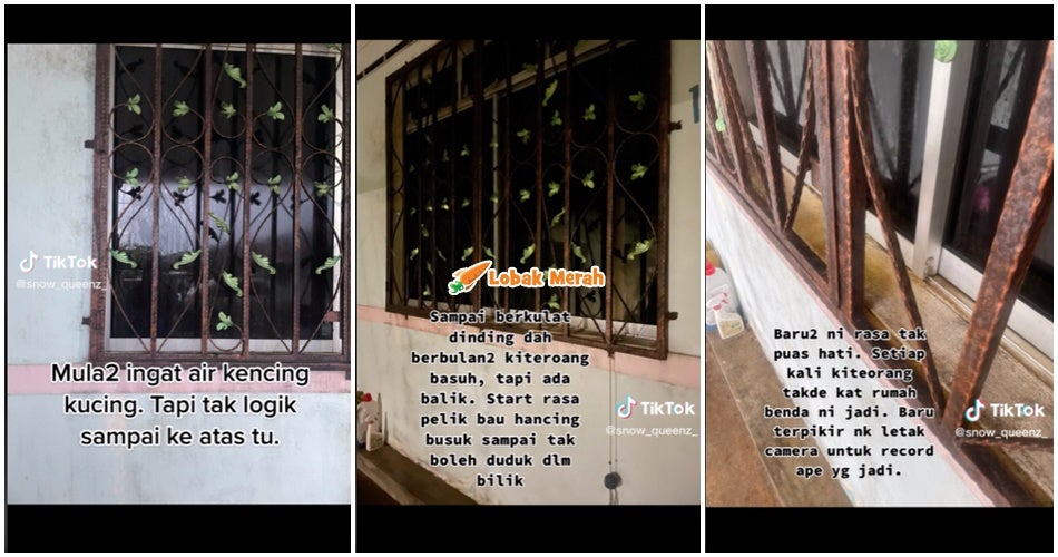 ft jiran kencing