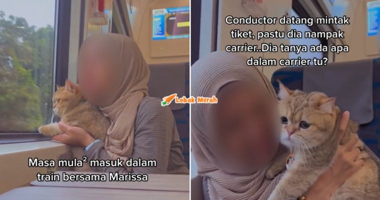 Kucing Naik Train