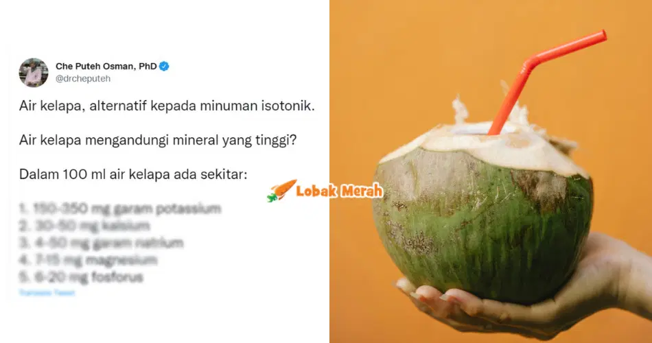 air kelapa