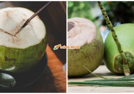 Air Kelapa